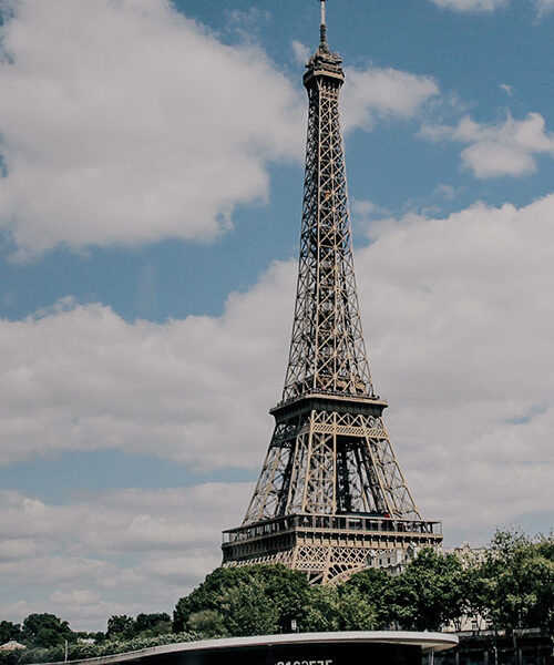 Img5 500x600