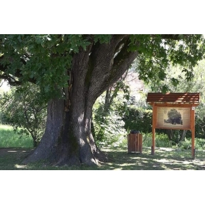 okokslovensky kras vylet vodny mlyn kovacova drnava strom roka